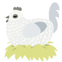 A white and mist chicken with a lace pattern