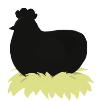 You cannot see me, a black chicken
