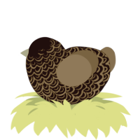 charm, a black and ultramarine chicken with a double-lace pattern