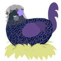 Sabrina, a tumblr and overcast chicken with a double-lace pattern