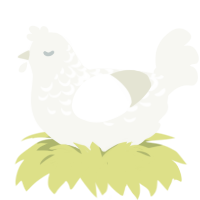 A white chicken with a half-lace pattern
