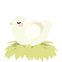 Mimic, a white chicken with a neck-speckle pattern