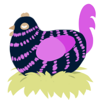 (unnamed), a tumblr and orchid chicken with a bar pattern