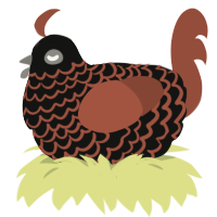A black and russet chicken with a lace pattern