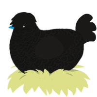 A black and sable chicken with a double-lace pattern