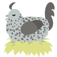 Bellatrix, a silver and grey chicken with a speckle pattern