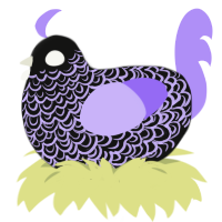 Proclamation, a black and lilac chicken with a double-lace pattern