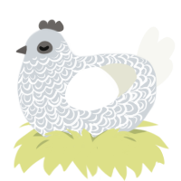 Brocade, a mist and white chicken with a double-lace pattern