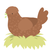dirt, a brown chicken with a speckle pattern