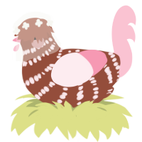 Rose, a russet and rose chicken with a bar pattern