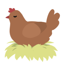 Bonnie, a brown chicken