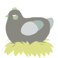 Elizabeth the wise, a ash and silver chicken