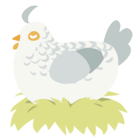 (unnamed), a white and silver chicken with a half-lace pattern