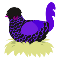 Hot Topic Princess, a sable and blurple chicken with a lace pattern