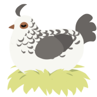 Seagull, a white and grey chicken with a half-lace pattern