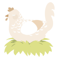 Milk, a cream chicken with a half-lace pattern