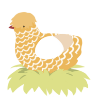 Omelette, a honey and cream chicken with a lace pattern