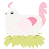 A white and rose chicken with a bar pattern