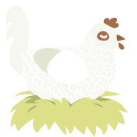 A white chicken with a double-lace pattern