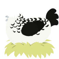 A white and black chicken with a half-lace pattern