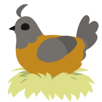 A ochre and grey chicken with a head pattern