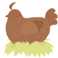 Chocolate Rain, a brown chicken with a lace pattern