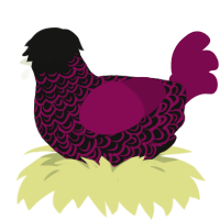 A black and wine chicken with a double-lace pattern
