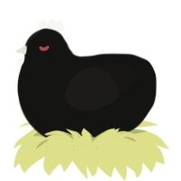Spatula, a black and sable chicken
