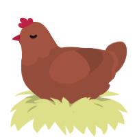A russet chicken with a head pattern