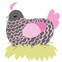 Lilac, a grey and pink chicken with a lace pattern
