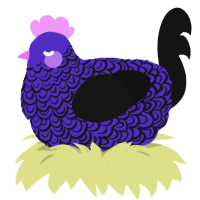 Fancy Pants, a indigo and black chicken with a double-lace pattern
