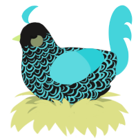 A sable and aqua chicken with a double-lace pattern