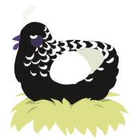 A sable and white chicken with a half-lace pattern