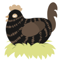 Cowbird, a sable and bark chicken with a bar pattern