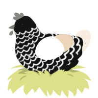Coal Ice Cream, a black and cream chicken with a lace pattern