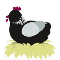 A sable and silver chicken with a neck-speckle pattern