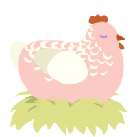Rosette, a rose and white chicken with a half-lace pattern