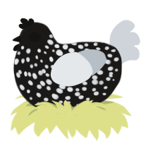 asiatic moon bear, a sable and mist chicken with a speckle pattern