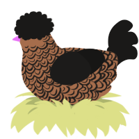 Wonderful, a brown and sable chicken with a double-lace pattern