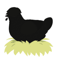 Patapon, a black chicken with a lace pattern