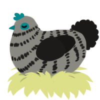 (unnamed), a ash and sable chicken with a bar pattern