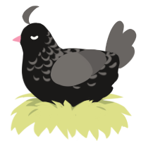 A sable and grey chicken with a half-lace pattern