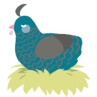 murky depths, a sea and grey chicken with a lace pattern