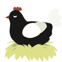 Circle, a sable and white chicken