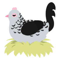 A mist and sable chicken with a half-lace pattern