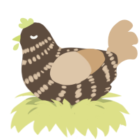 A bark and beige chicken with a bar pattern