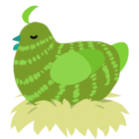 Chargroose, a chartreuse and grass chicken with a bar pattern