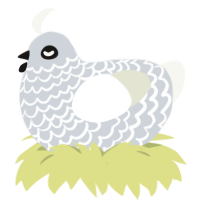 egg on leg, a mist and white chicken with a lace pattern