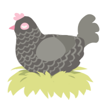 Pigeon2, a grey and ash chicken with a lace pattern