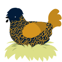 Moon Slice, a tumblr and ochre chicken with a double-lace pattern